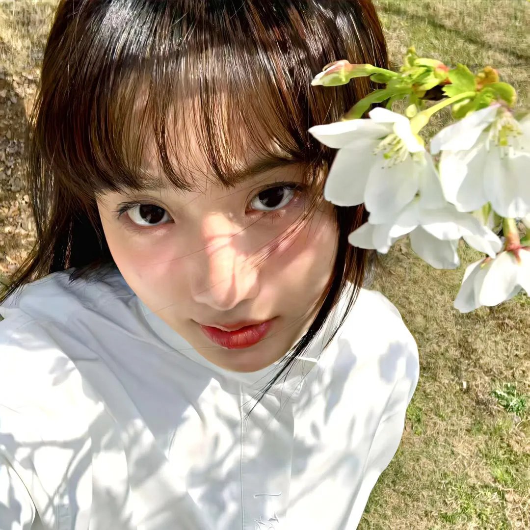 泪洒女人花 在线观看